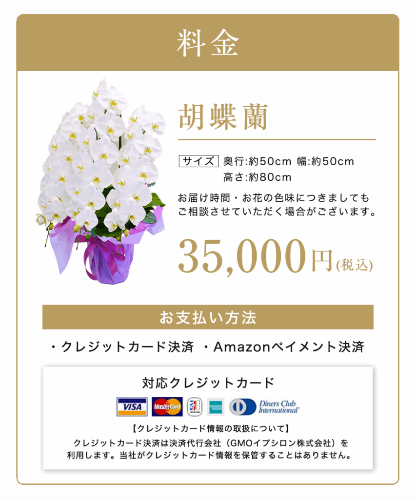胡蝶蘭の料金