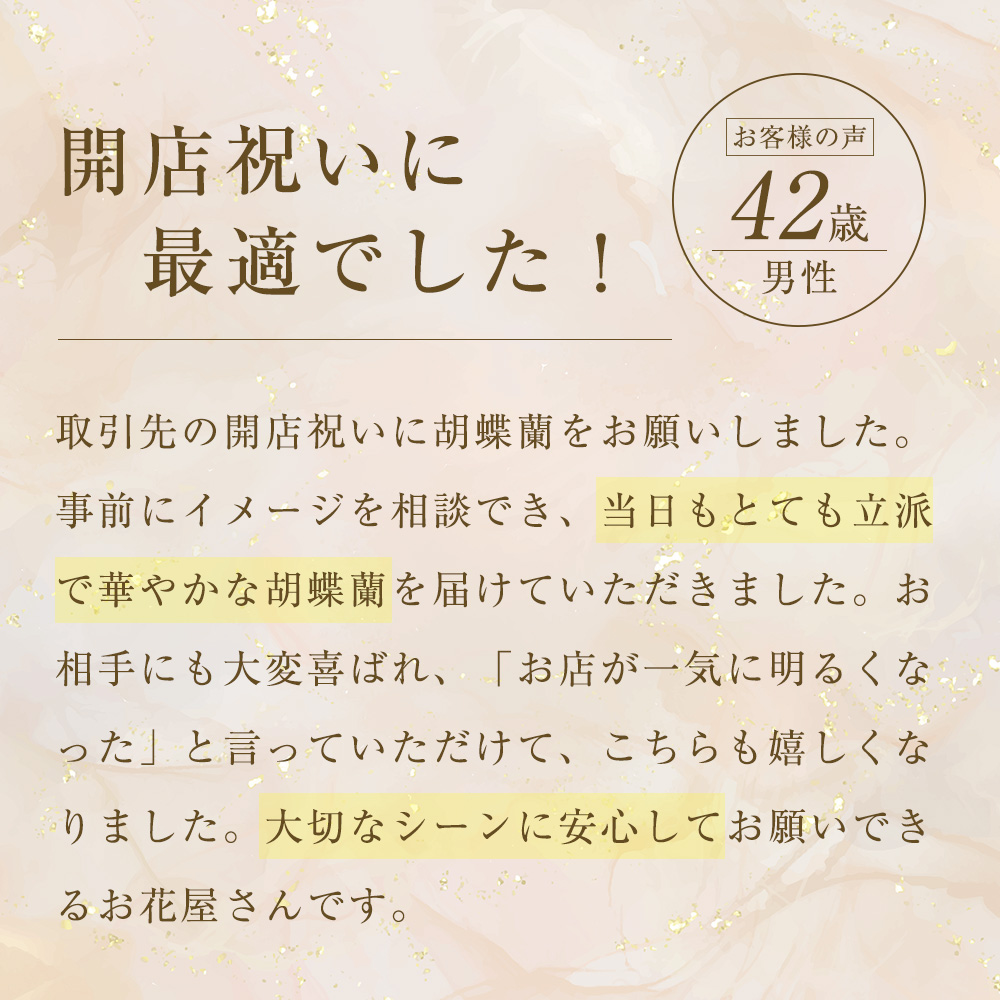 コチライマスグのお客様の声