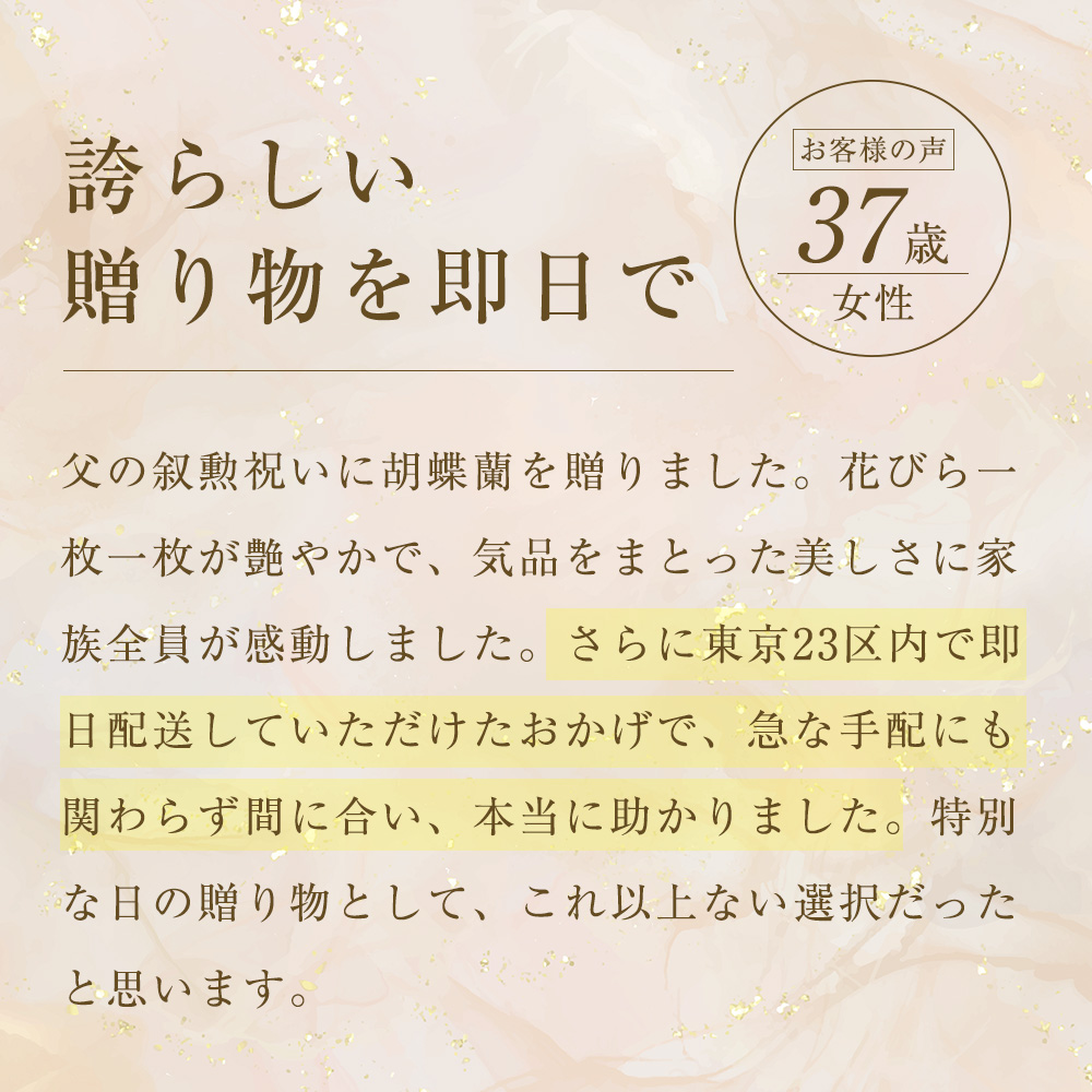 コチライマスグのお客様の声