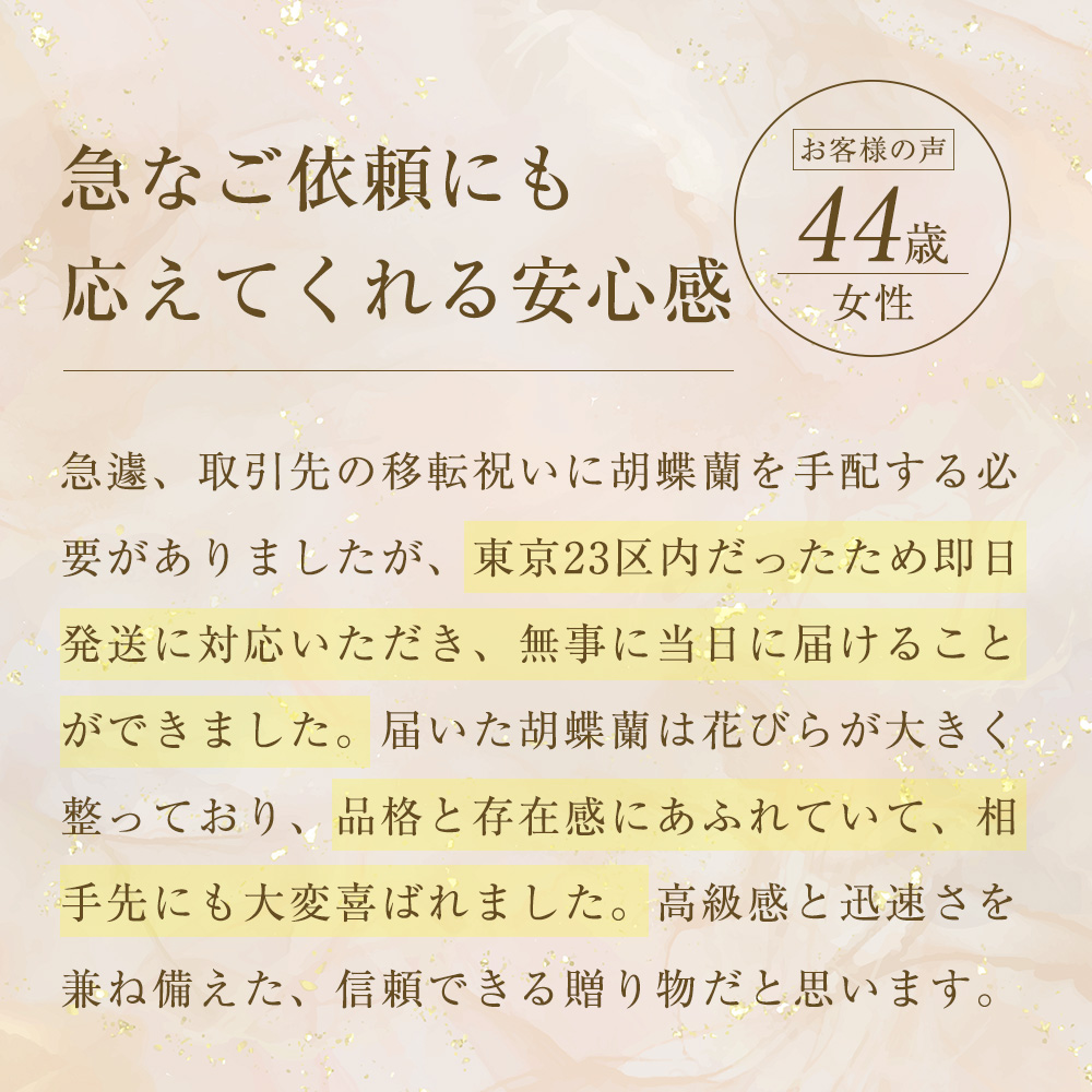 コチライマスグのお客様の声